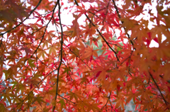 SDIM0086