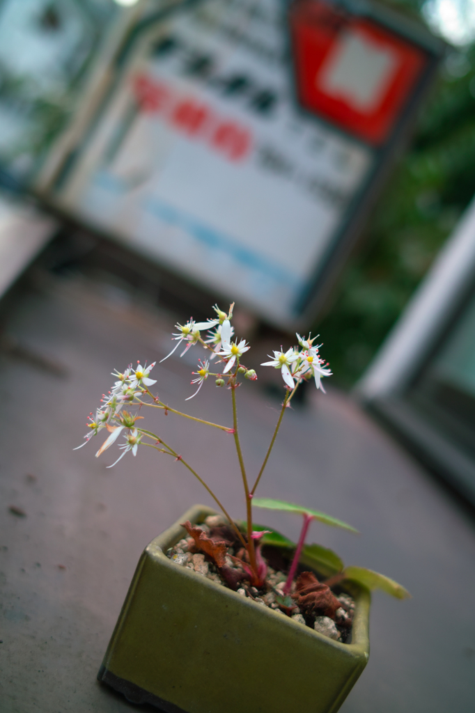 SDIM0171