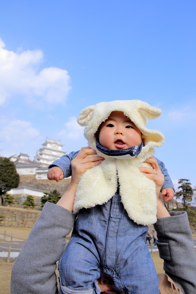 平成の大修理〜姫路城〜