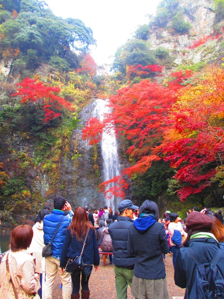 箕面の滝①