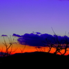 夕景　パート２