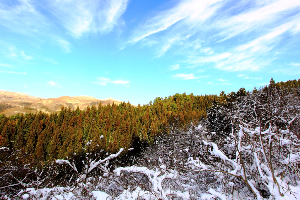 日の当たる場所＆日の当らない場所