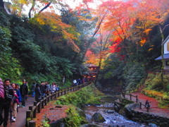 箕面の滝②