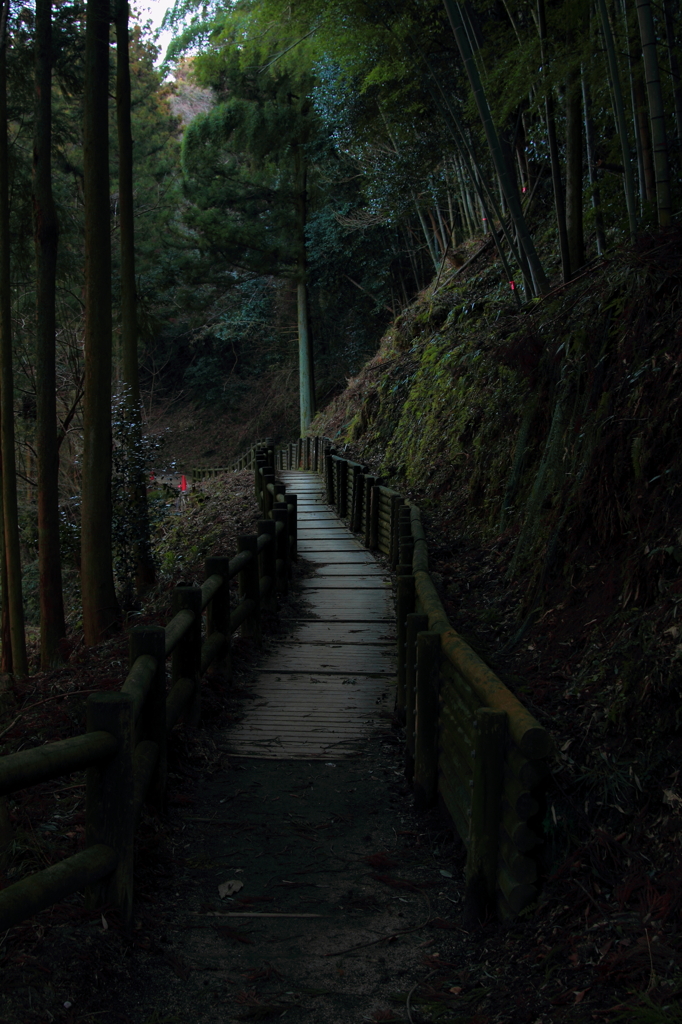 銀山行路