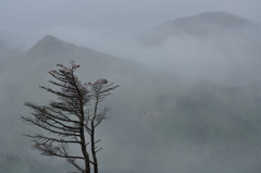 雲の波の中