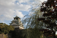 大阪城を眺めて