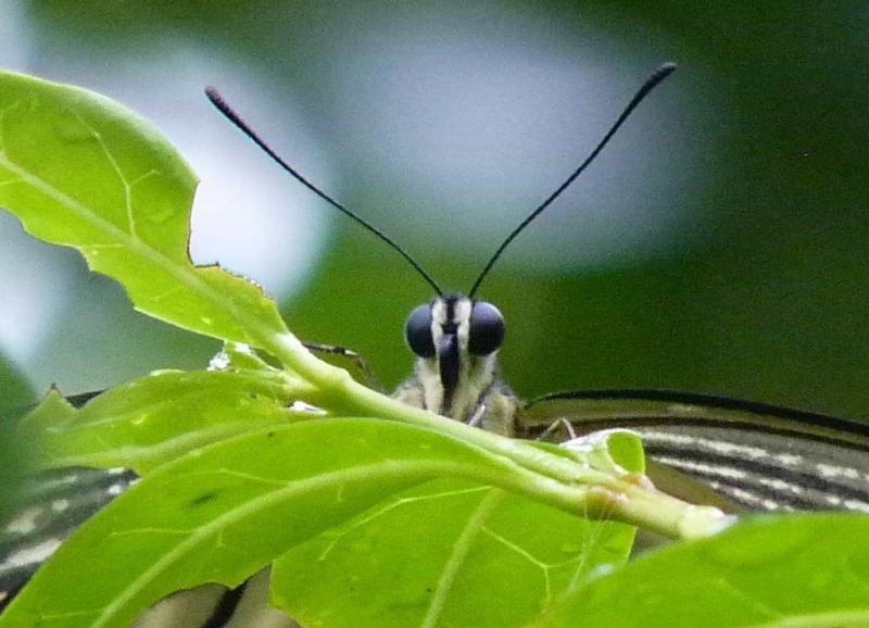 ん？