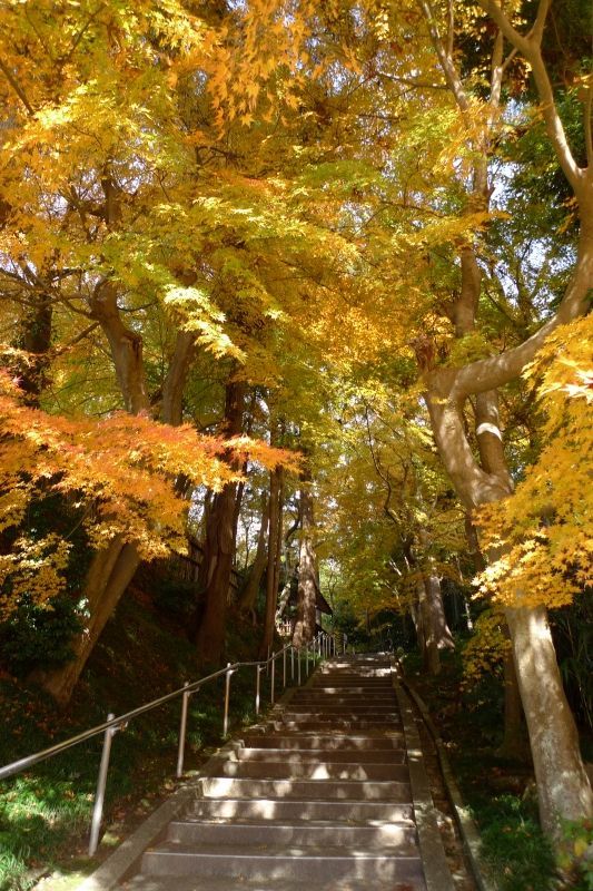本行寺