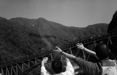 train