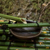 DSC00904