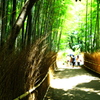 DSC00584