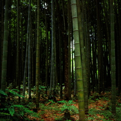 旧東山岸邸