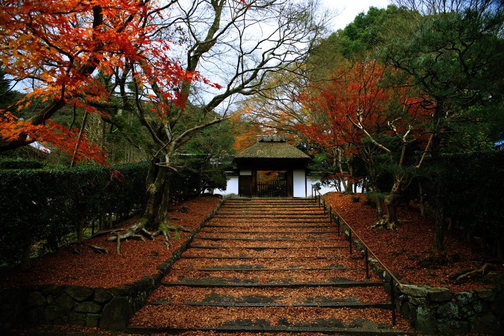 安楽寺