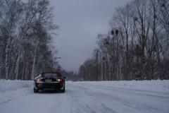 雪の道2
