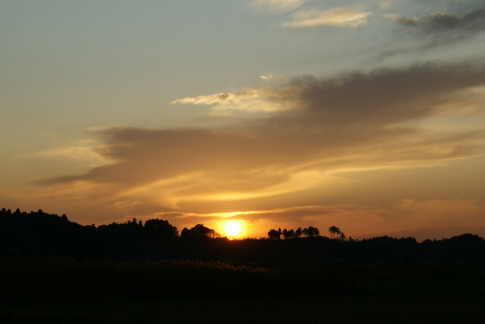 夕陽２