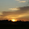 夕陽２