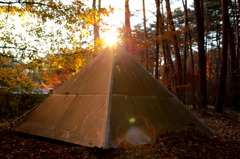 森のピラミッド