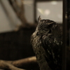 黄昏・・・居眠り？