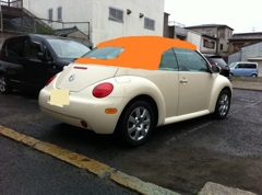 オレンジ茶ビーカブ後ろ-2