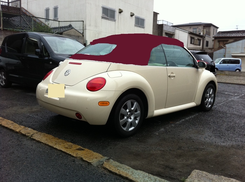 オレンジ茶ビーカブ後ろワイン-2