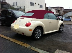 オレンジ茶ビーカブ後ろワイン-2