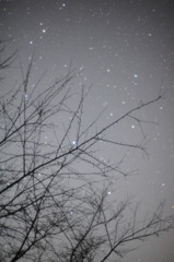 星奏～03522～