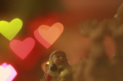 今年もサンタは来るのかな？