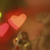 今年もサンタは来るのかな？