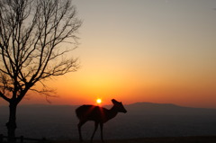 若草山