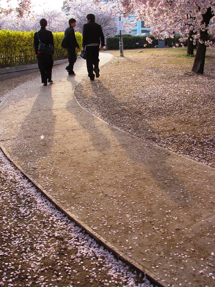 通学路