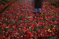 紅い参道