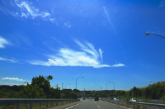 雲の鳥