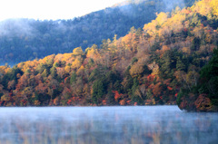 湖に浮いた紅葉