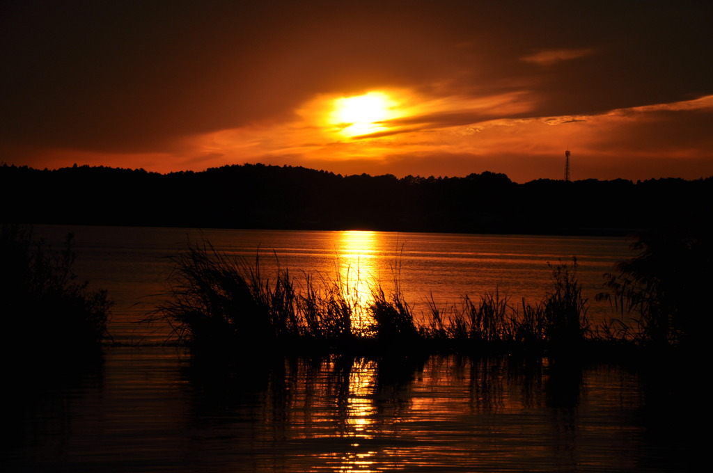 霞ヶ浦の夕景