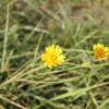 IMG_8259