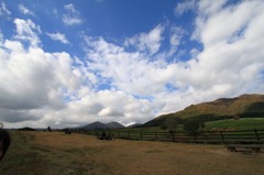 IMG_8231