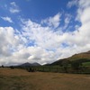 IMG_8231