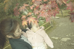 何かみつけた？