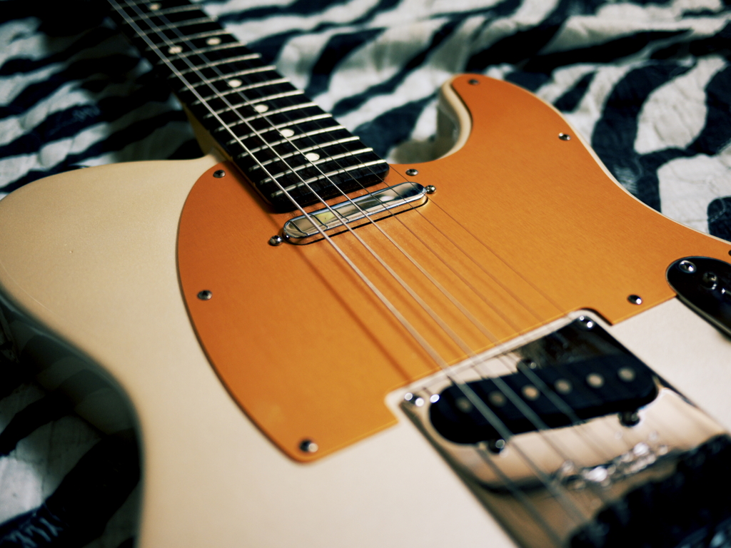  Anodized Pick Guard