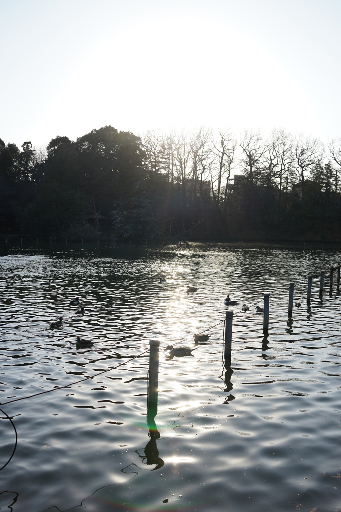 公園2