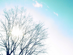 Blinding Sunlight