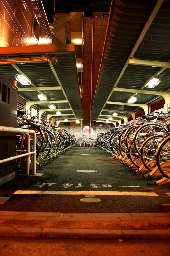 自転車置き場