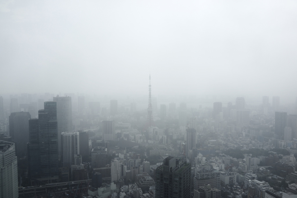 霧の中で