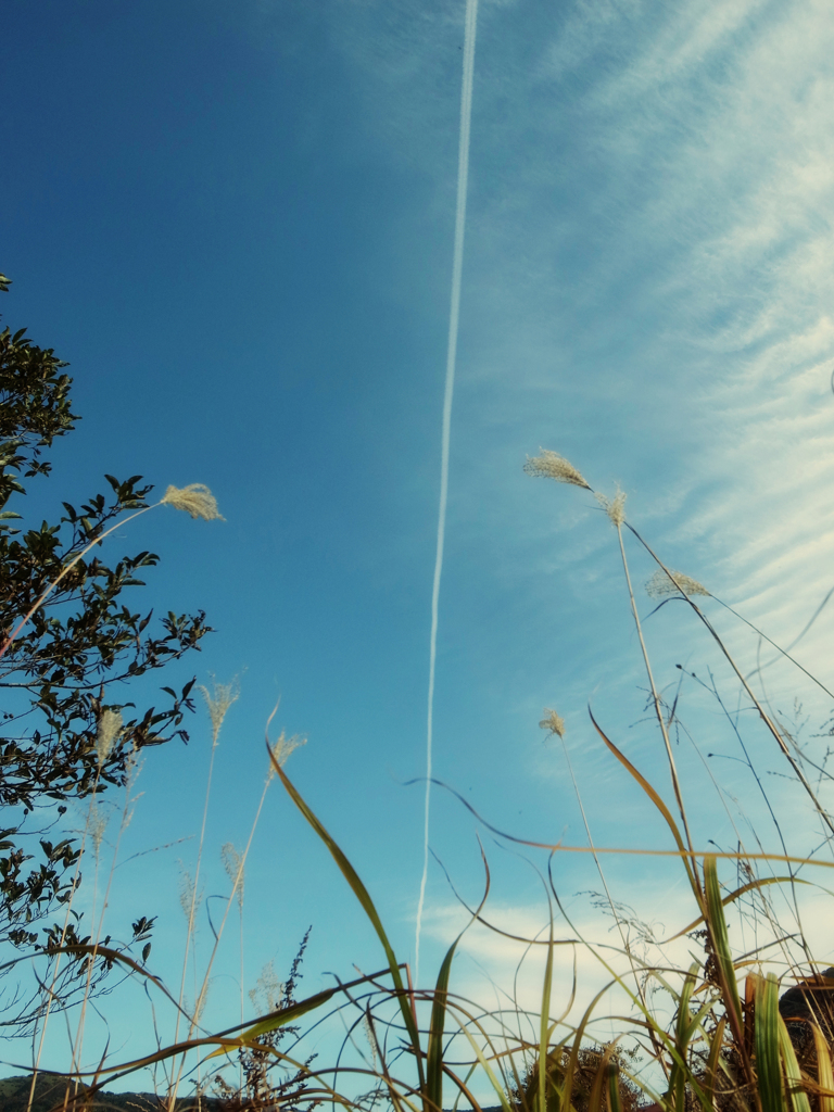 飛行機雲