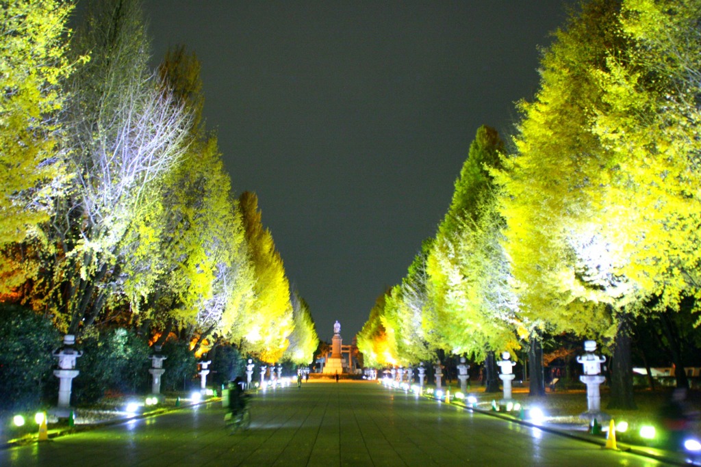 夜の靖国神社