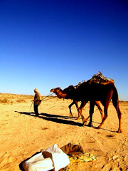 Tunisia Trip20073