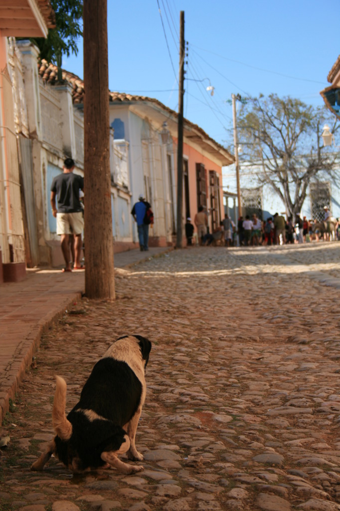 2008キューバの旅 212