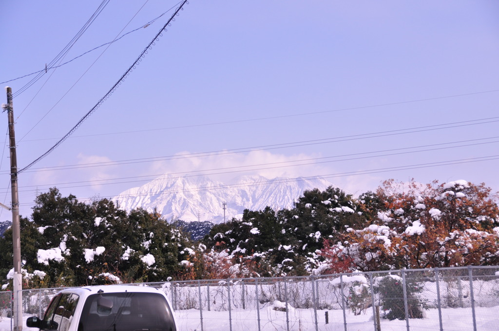 真冬の桜島と紅葉