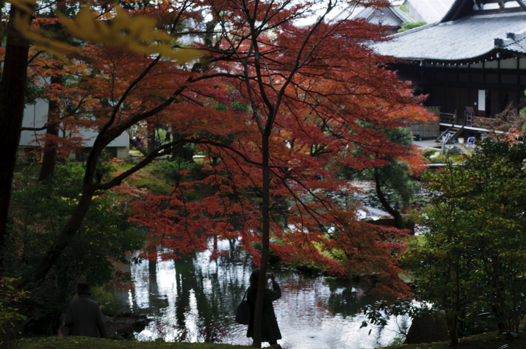 金戒光明寺　2