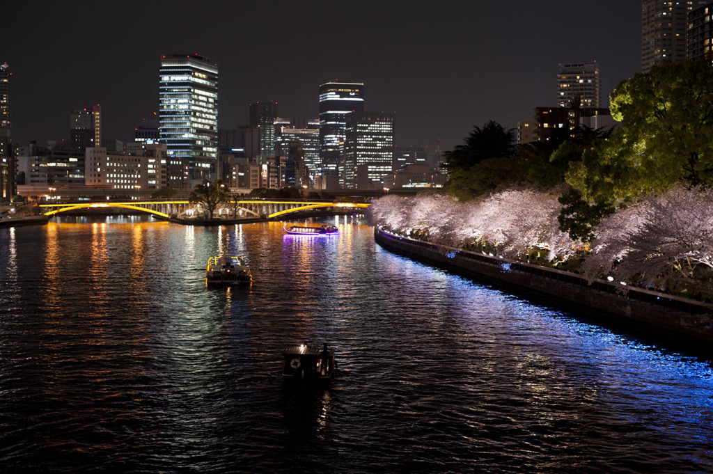 大川沿い夜桜